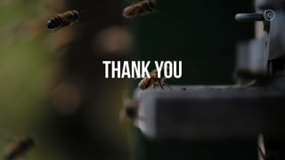 Bees-Presentation.pptx