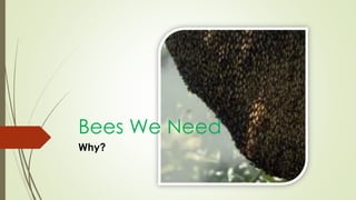 Bees We Need
Why?
 