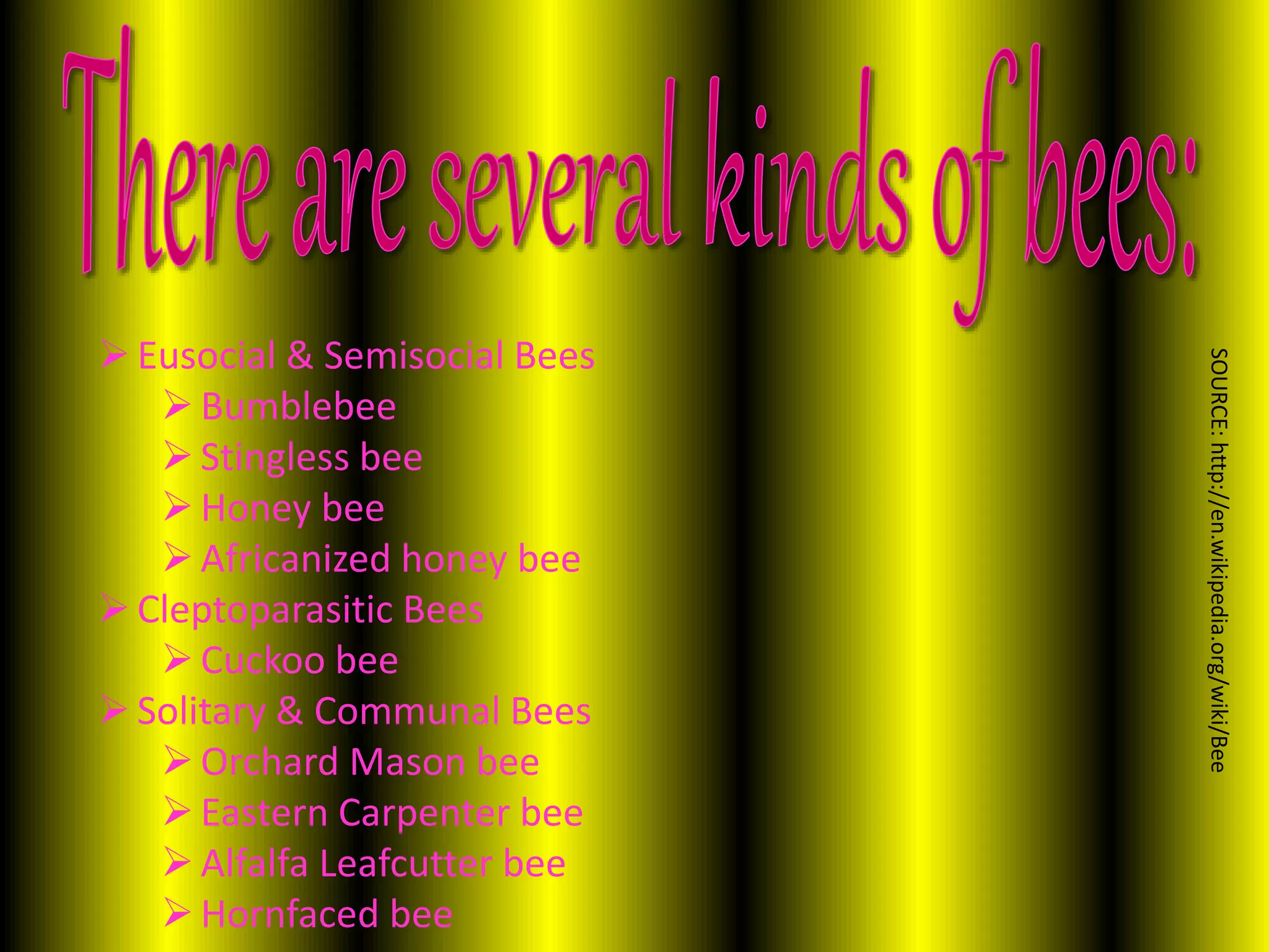 Eusocial & Semisocial Bees
Bumblebee
Stingless bee
Honey bee
Africanized honey bee
Cleptoparasitic Bees
Cuckoo bee
Solitary & Communal Bees
Orchard Mason bee
Eastern Carpenter bee
Alfalfa Leafcutter bee
Hornfaced bee
SOURCE:http://en.wikipedia.org/wiki/Bee