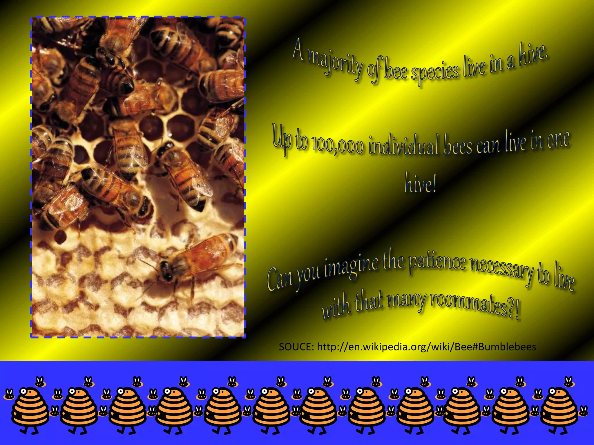 SOUCE: http://en.wikipedia.org/wiki/Bee#Bumblebees