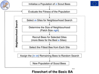 Bees algorithm | PPT