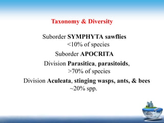 Suborder Bees and wasps | PPTX
