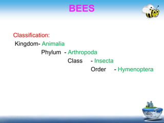 Bees and wasps | PPTX
