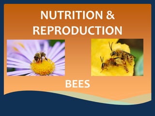 NUTRITION &
REPRODUCTION
BEES
 