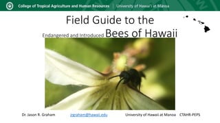 Field Guide to the
Endangered and Introduced Bees of Hawaii
Dr. Jason R. Graham jrgraham@hawaii.edu University of Hawaii at Manoa CTAHR-PEPS
 