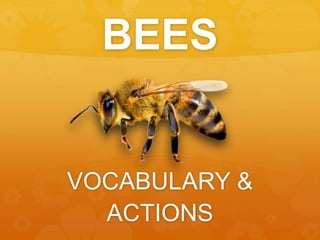 BEES
VOCABULARY &
ACTIONS
 