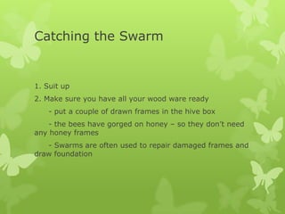 Catching the Swarm

1. Suit up
2. Make sure you have all your wood ware ready
- put a couple of drawn frames in the hive box
- the bees have gorged on honey – so they don’t need
any honey frames
- Swarms are often used to repair damaged frames and
draw foundation

 