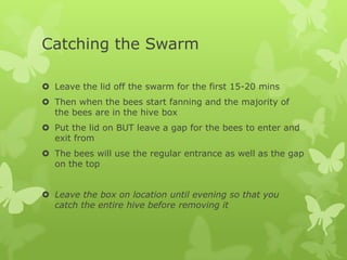 Catching the Swarm
 Leave the lid off the swarm for the first 15-20 mins
 Then when the bees start fanning and the majority of
the bees are in the hive box
 Put the lid on BUT leave a gap for the bees to enter and
exit from
 The bees will use the regular entrance as well as the gap
on the top
 Leave the box on location until evening so that you
catch the entire hive before removing it

 