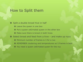 How to Split them
 Split a double brood hive in half
 Leave the queen in one box
 Put a queen cell/mated queen in the other box
 Make sure there is brood in both hives

 Select brood and feed from a hive – and make up nucs
 Minimum number of frames is 3 for a nuc
 REMEMBER clustering and temperatures so 5 frames is best
 You need a queen cell/mated queen for the nuc

 