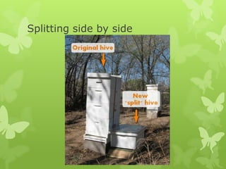 Splitting side by side

 