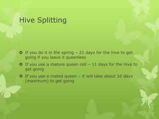Hive Splitting

 If you do it in the spring – 21 days for the hive to get
going if you leave it queenless
 If you use a mature queen cell – 11 days for the hive to
get going

 If you use a mated queen – it will take about 10 days
(maximum) to get going

 