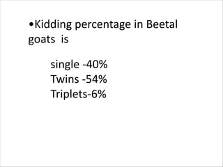 •Kidding percentage in Beetal
goats is
single -40%
Twins -54%
Triplets-6%
 