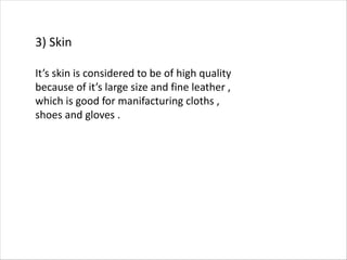 3) Skin
It’s skin is considered to be of high quality
because of it’s large size and fine leather ,
which is good for manifacturing cloths ,
shoes and gloves .
 