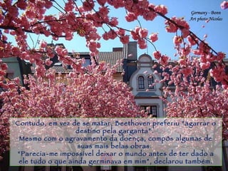 Teatro de Viena Contudo, em vez de se matar, Beethoven preferiu “agarrar o destino pela garganta”.  Mesmo com o agravamento da doença, compôs algumas de suas mais belas obras.  “ Parecia-me impossível deixar o mundo antes de ter dado a ele tudo o que ainda germinava em mim”, declarou também. 