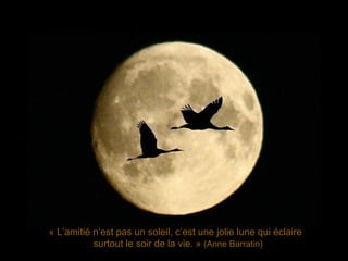 « L’amitié n’est pas un soleil, c’est une jolie lune qui éclaire surtout le soir de la vie. »  (Anne Barratin) 