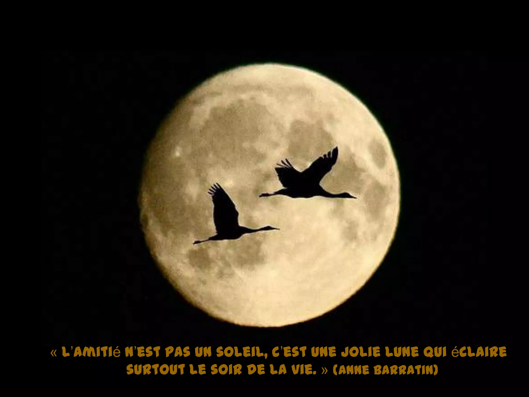 « L’amitié n’est pas un soleil, c’est une jolie lune qui éclaire
surtout le soir de la vie. » (Anne Barratin)