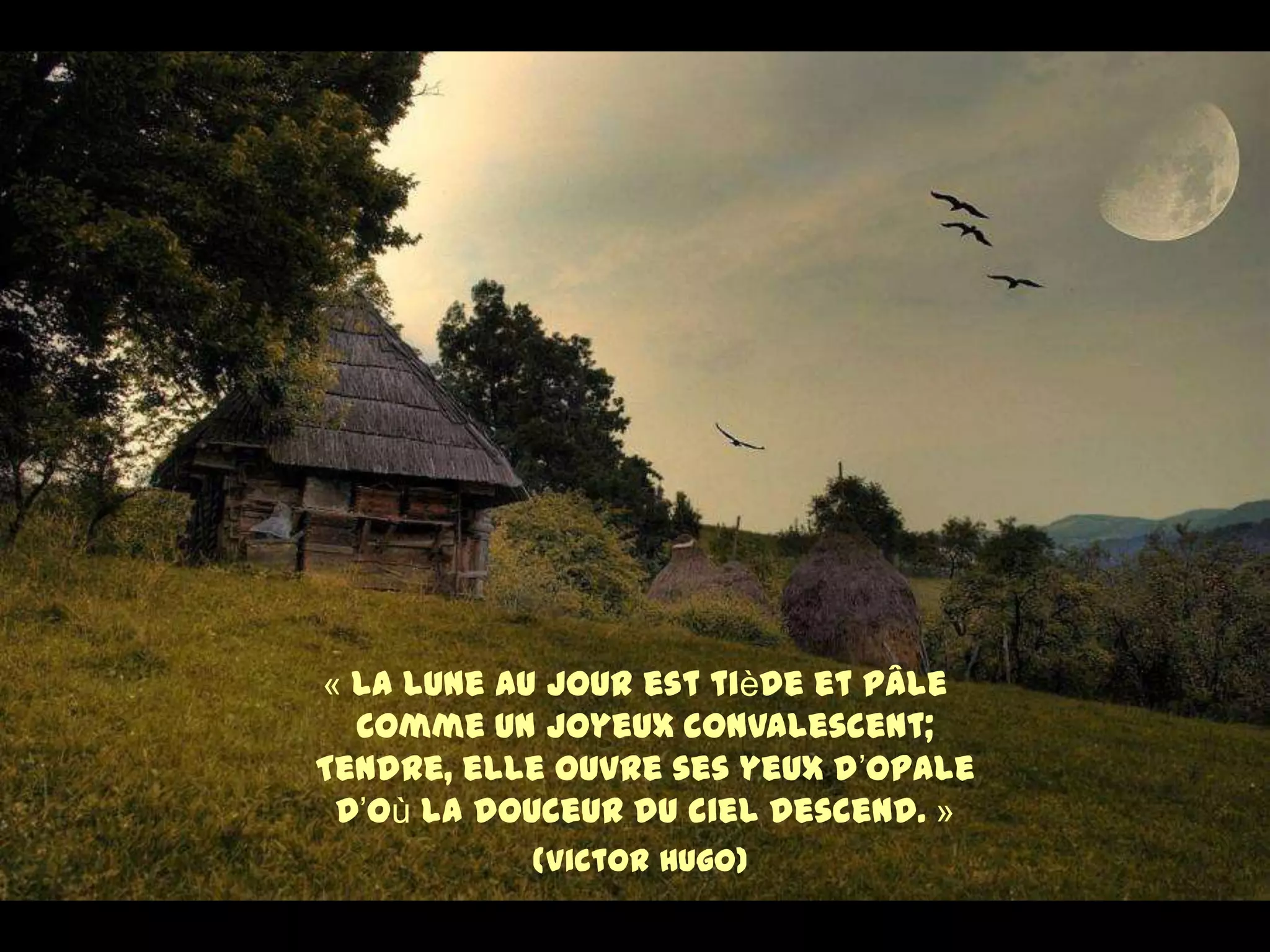 « La lune au jour est tiède et pâle
Comme un joyeux convalescent;
Tendre, elle ouvre ses yeux d’opale
D’où la douceur du ciel descend. »
(Victor Hugo)
