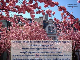 Teatro de Viena Contudo, em vez de se matar, Beethoven preferiu “agarrar o destino pela garganta”.  Mesmo com o agravamento da doença,  compôs algumas de suas mais belas obras.  “ Parecia-me impossível deixar o mundo antes de ter dado a ele tudo o que ainda germinava em mim”, declarou também. 