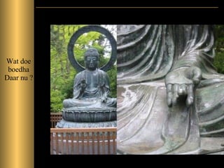 Wat doe boedha Daar nu ? 