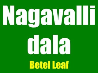 Nagavalli
dala
Betel Leaf
 
