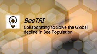 BeeTRI
Collaborating to Solve the Global
decline in Bee Population
 