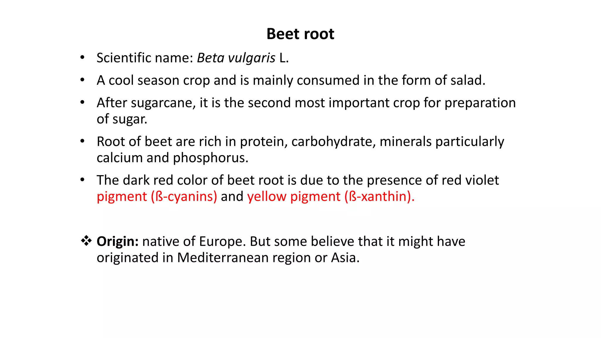 Beet root
• Scientific name: Beta vulgaris L.
• A cool season crop and is mainly consumed in the form of salad.
• After sugarcane, it is the second most important crop for preparation
of sugar.
• Root of beet are rich in protein, carbohydrate, minerals particularly
calcium and phosphorus.
• The dark red color of beet root is due to the presence of red violet
pigment (ß-cyanins) and yellow pigment (ß-xanthin).
 Origin: native of Europe. But some believe that it might have
originated in Mediterranean region or Asia.
 