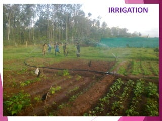 IRRIGATION 
 