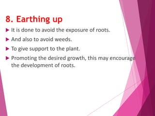 8. Earthing up 
 It is done to avoid the exposure of roots. 
 And also to avoid weeds. 
 To give support to the plant. 
 Promoting the desired growth, this may encourage 
the development of roots. 
 