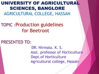 UNIVERSITY OF AGRICULTURAL 
SCIENCES, BANGLORE 
AGRICULTURAL COLLEGE, HASSAN 
TOPIC :Production guidelines 
for Beetroot 
PRESENTED TO: 
DR. Nirmala. K. S. 
Asst. professor of Horticulture 
Dept.of Horticulture 
Agricultural college, Hassan 
 