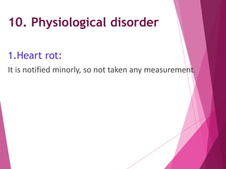 10. Physiological disorder 
1.Heart rot: 
It is notified minorly, so not taken any measurement. 
 