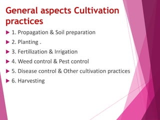 General aspects Cultivation 
practices 
 1. Propagation & Soil preparation 
 2. Planting . 
 3. Fertilization & Irrigation 
 4. Weed control & Pest control 
 5. Disease control & Other cultivation practices 
 6. Harvesting 
 