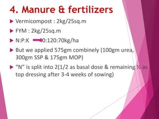 4. Manure & fertilizers 
 Vermicompost : 2kg/25sq.m 
 FYM : 2kg/25sq.m 
 N:P:K 40:120:70kg/ha 
 But we applied 575gm combinely (100gm urea, 
300gm SSP & 175gm MOP) 
 “N” is split into 2(1/2 as basal dose & remaining ½ as 
top dressing after 3-4 weeks of sowing) 
 