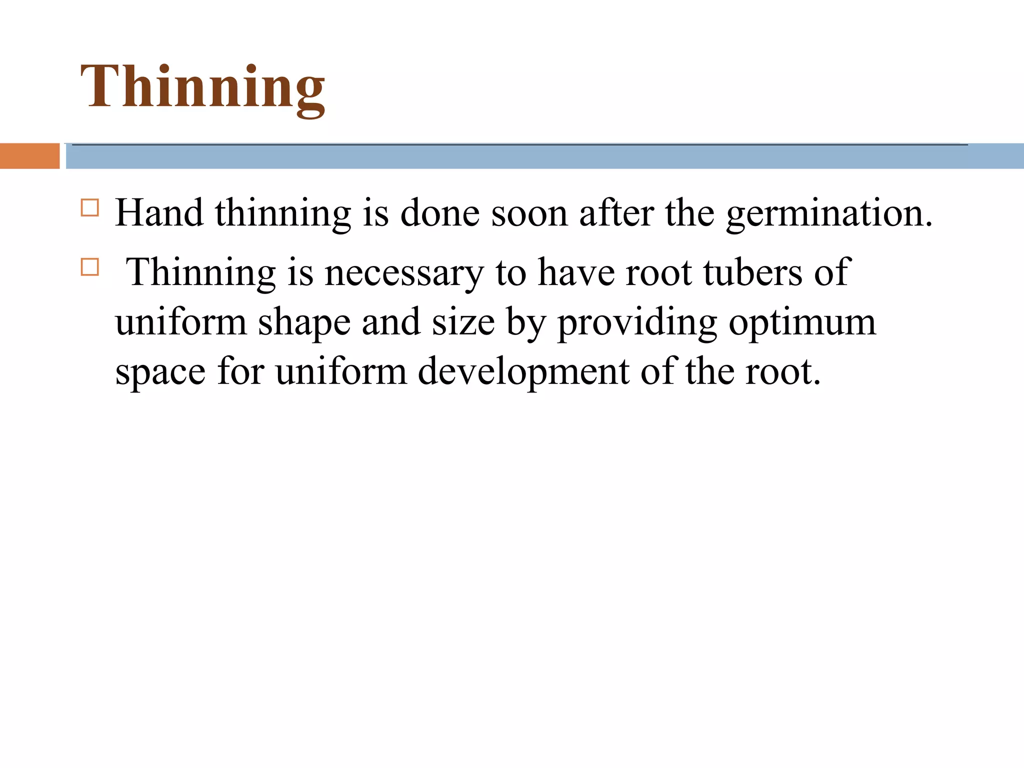 Thinning
 Hand thinning is done soon after the germination.
 Thinning is necessary to have root tubers of
uniform shape and size by providing optimum
space for uniform development of the root.
 