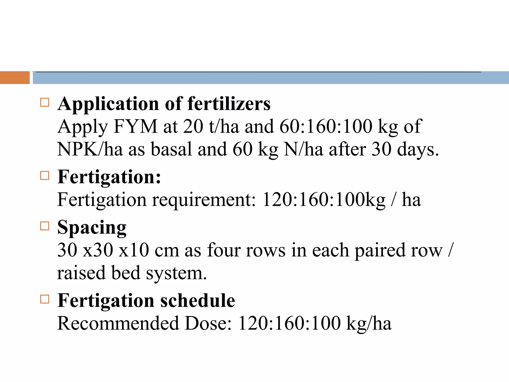  Application of fertilizers
Apply FYM at 20 t/ha and 60:160:100 kg of
NPK/ha as basal and 60 kg N/ha after 30 days.
 Fertigation:
Fertigation requirement: 120:160:100kg / ha
 Spacing
30 x30 x10 cm as four rows in each paired row /
raised bed system.
 Fertigation schedule
Recommended Dose: 120:160:100 kg/ha
 