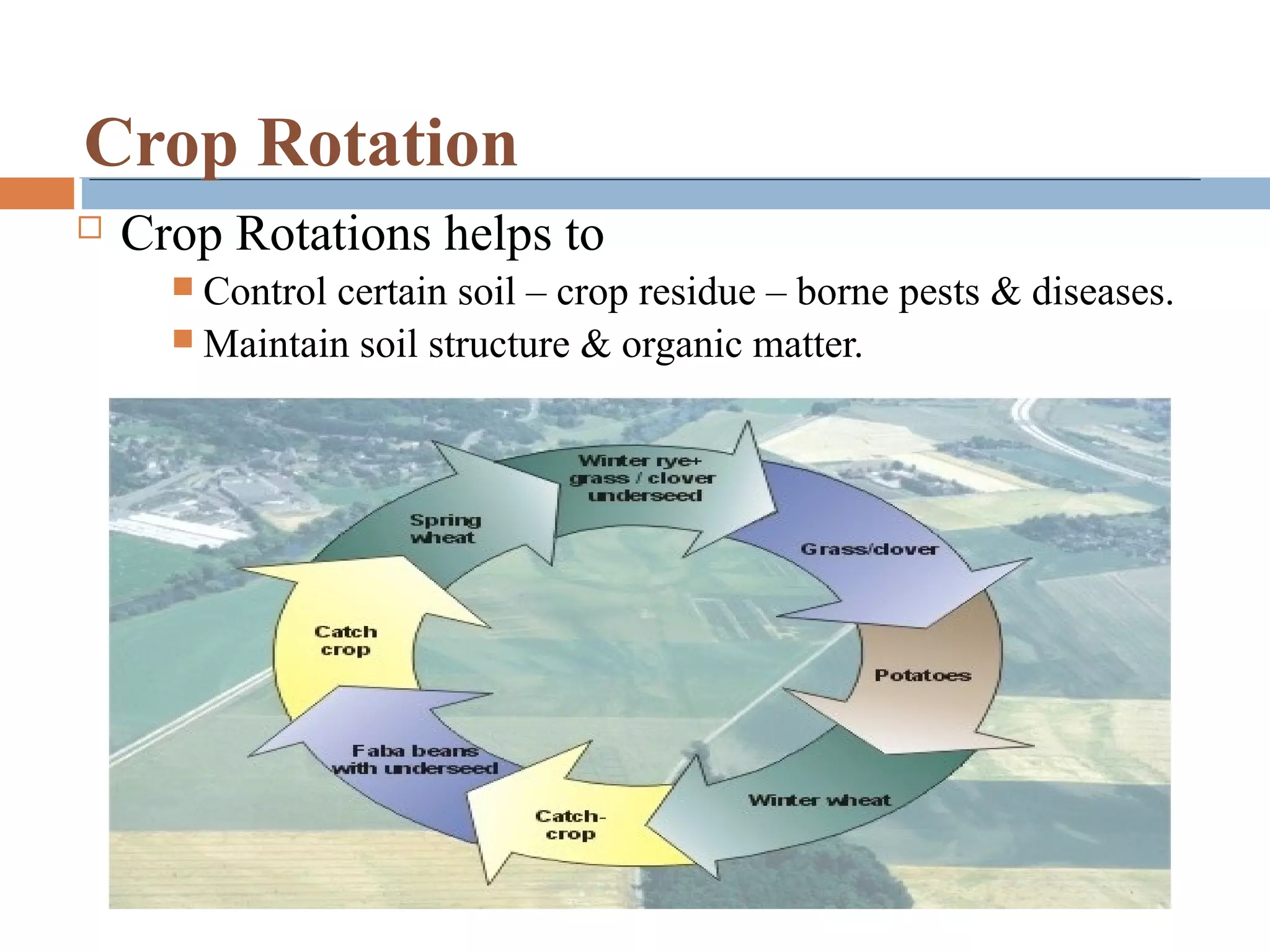 Crop Rotation
 Crop Rotations helps to
 Control certain soil – crop residue – borne pests & diseases.
 Maintain soil structure & organic matter.
 