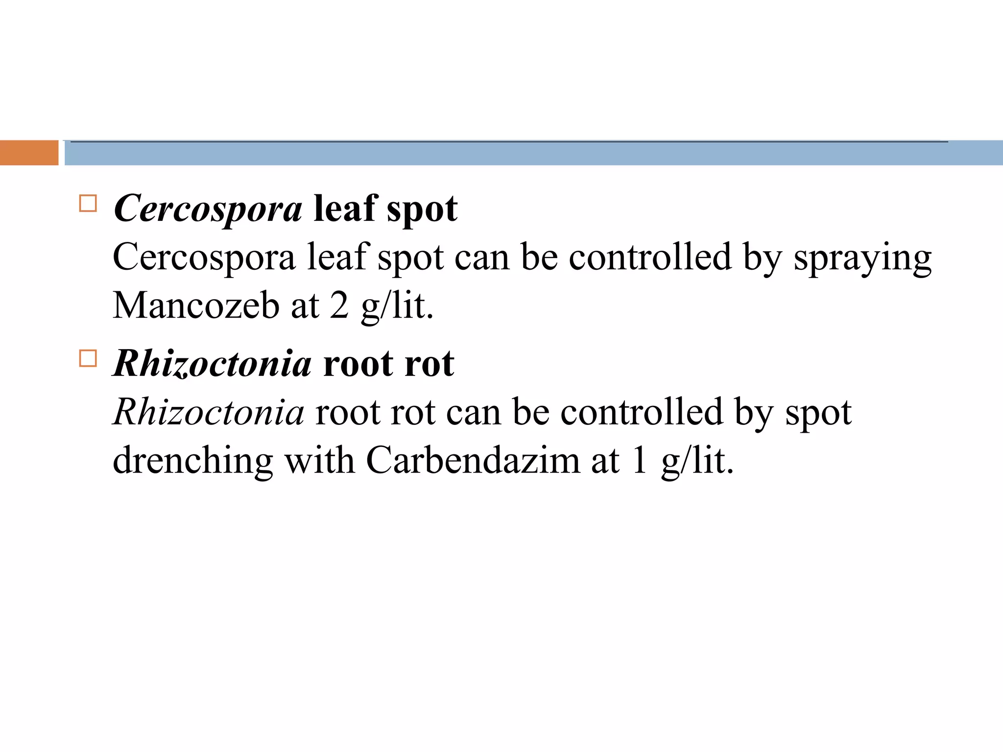  Cercospora leaf spot
Cercospora leaf spot can be controlled by spraying
Mancozeb at 2 g/lit.
 Rhizoctonia root rot
Rhizoctonia root rot can be controlled by spot
drenching with Carbendazim at 1 g/lit.
 
