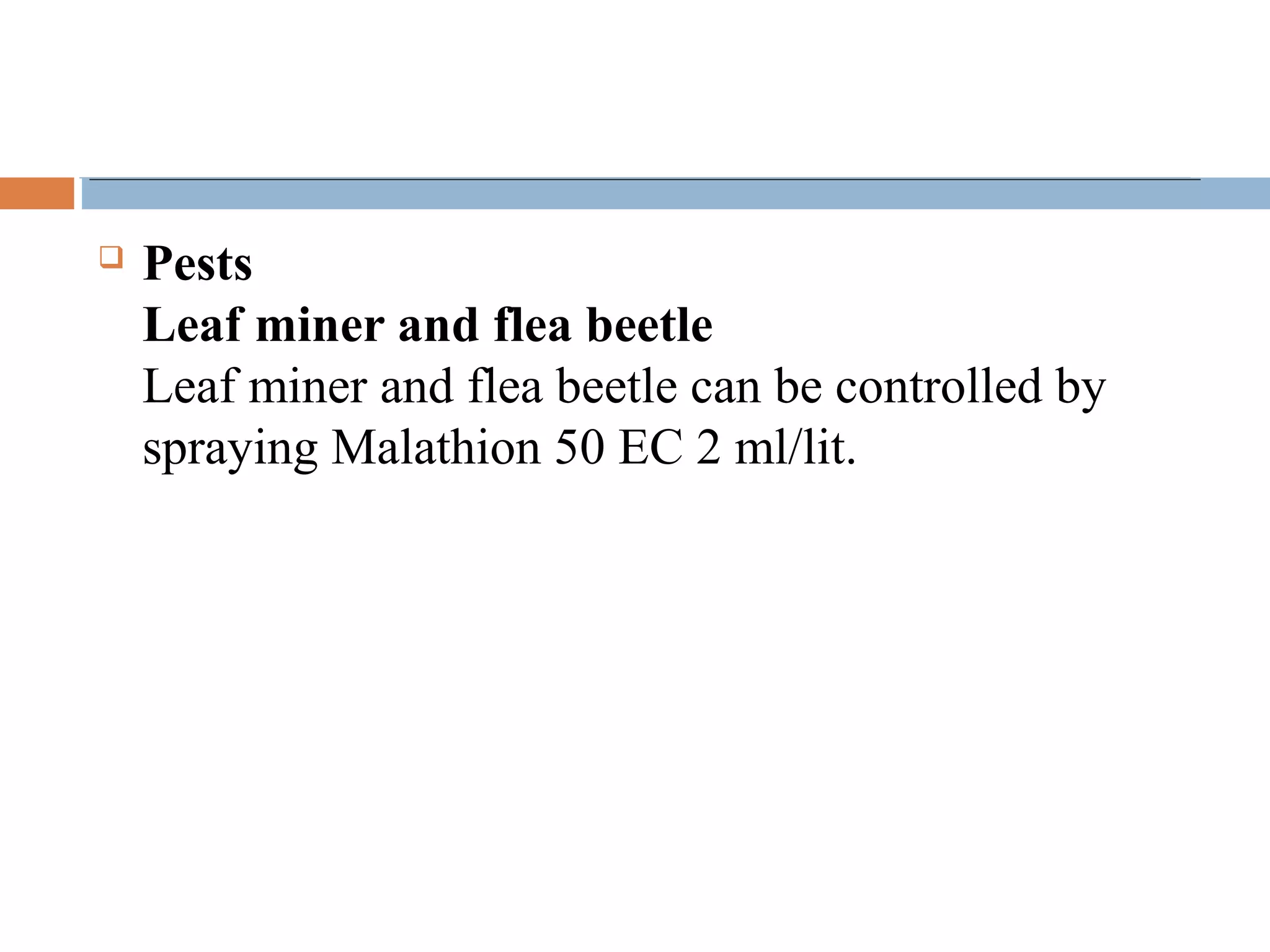  Pests
Leaf miner and flea beetle
Leaf miner and flea beetle can be controlled by
spraying Malathion 50 EC 2 ml/lit.
 
