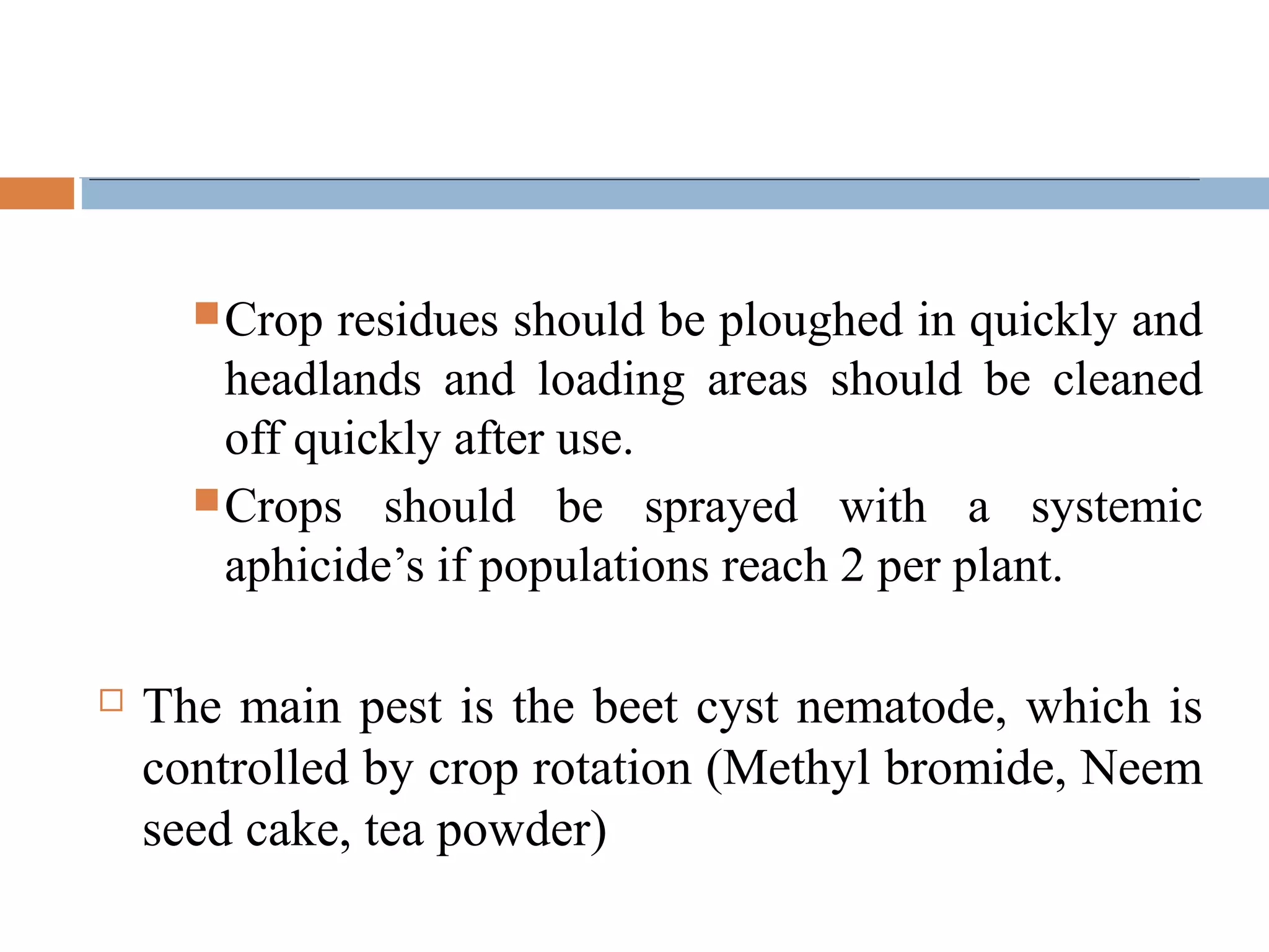 Crop residues should be ploughed in quickly and
headlands and loading areas should be cleaned
off quickly after use.
Crops should be sprayed with a systemic
aphicide’s if populations reach 2 per plant.
 The main pest is the beet cyst nematode, which is
controlled by crop rotation (Methyl bromide, Neem
seed cake, tea powder)
 