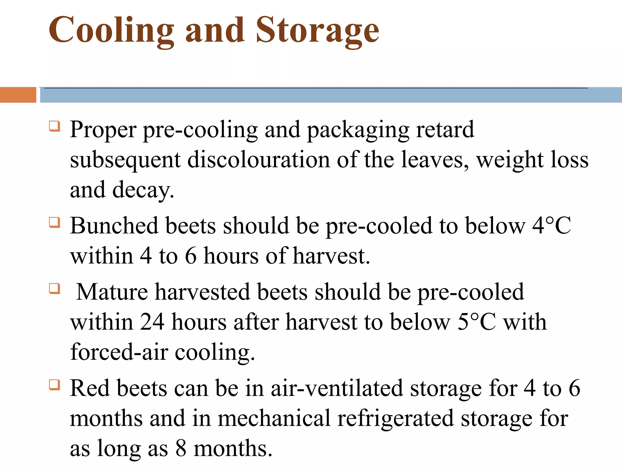 Cooling and Storage
 Proper pre-cooling and packaging retard
subsequent discolouration of the leaves, weight loss
and decay.
 Bunched beets should be pre-cooled to below 4°C
within 4 to 6 hours of harvest.
 Mature harvested beets should be pre-cooled
within 24 hours after harvest to below 5°C with
forced-air cooling.
 Red beets can be in air-ventilated storage for 4 to 6
months and in mechanical refrigerated storage for
as long as 8 months.
 