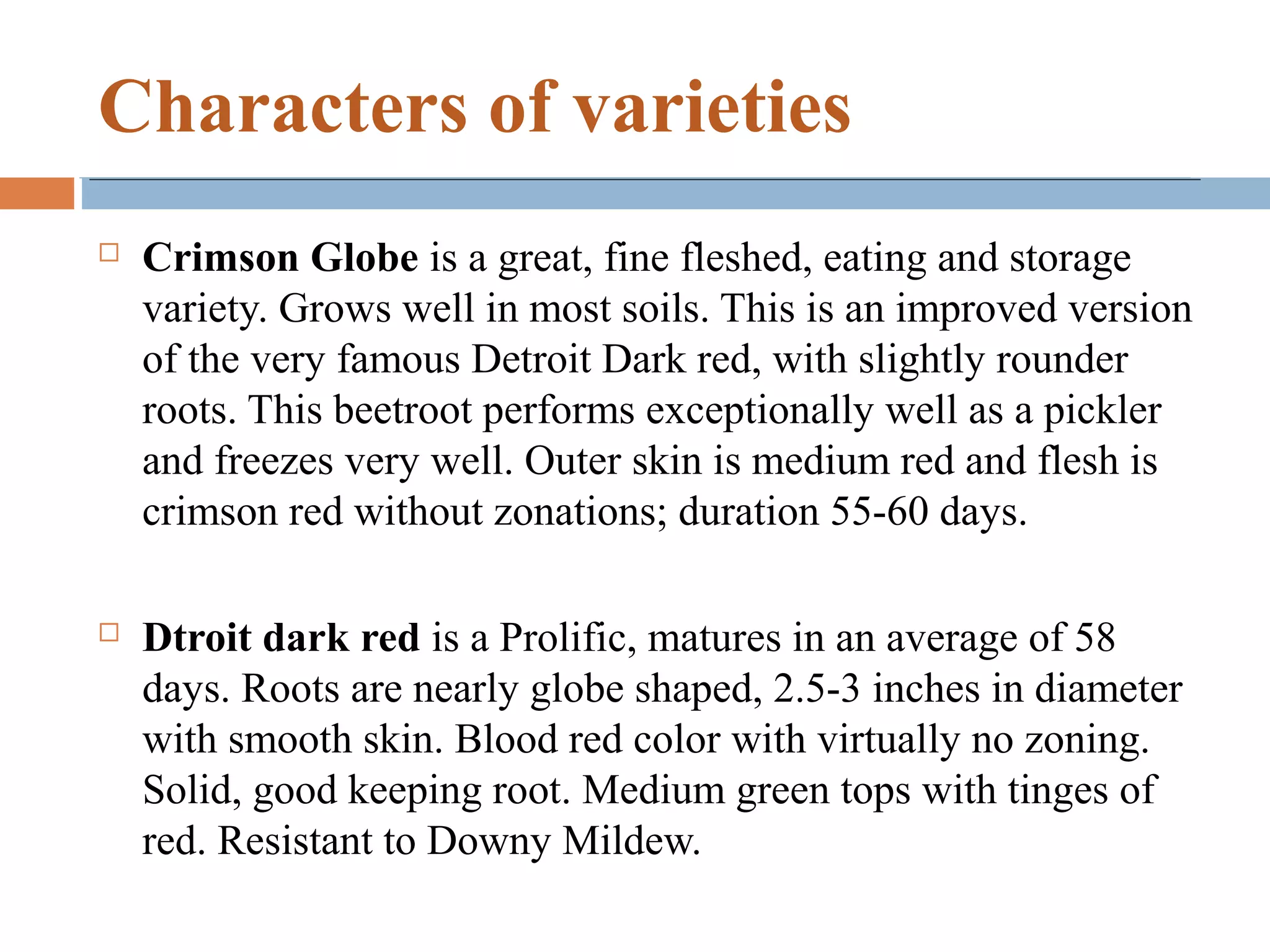 Characters of varieties
 Crimson Globe is a great, fine fleshed, eating and storage
variety. Grows well in most soils. This is an improved version
of the very famous Detroit Dark red, with slightly rounder
roots. This beetroot performs exceptionally well as a pickler
and freezes very well. Outer skin is medium red and flesh is
crimson red without zonations; duration 55-60 days.
 Dtroit dark red is a Prolific, matures in an average of 58
days. Roots are nearly globe shaped, 2.5-3 inches in diameter
with smooth skin. Blood red color with virtually no zoning.
Solid, good keeping root. Medium green tops with tinges of
red. Resistant to Downy Mildew.
 