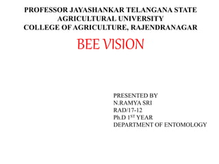 PROFESSOR JAYASHANKAR TELANGANA STATE
AGRICULTURAL UNIVERSITY
COLLEGE OFAGRICULTURE, RAJENDRANAGAR
BEE VISION
PRESENTED BY
N.RAMYA SRI
RAD/17-12
Ph.D 1ST YEAR
DEPARTMENT OF ENTOMOLOGY
 
