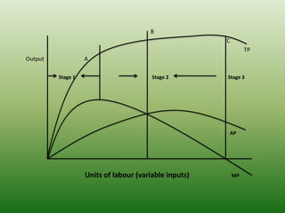 B
C
TP
Output A
Stage 1 Stage 2 Stage 3
AP
Units of labour (variable inputs) MP
 