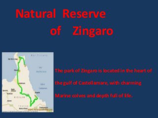 Natural Reserve
of Zingaro
The park of Zingaro is located in the heart of
the gulf of Castellamare, with charming
Marine colves and depth full of life.
 