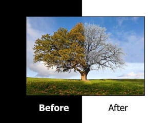 before & after photoshop
