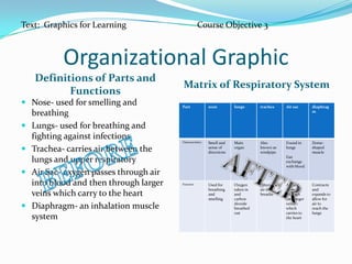 Organizational GraphicDefinitions of Parts and FunctionsMatrix of Respiratory SystemNose- used for smelling and breathingLungs- used for breathing and fighting against infectionsTrachea- carries air between the lungs and upper respiratoryAir Sac- oxygen passes through air into blood and then through larger veins which carry to the heartDiaphragm- an inhalation muscle systemText:  Graphics for Learning			Course Objective 3BEFOREAFTER