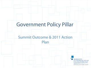 Government Policy Pillar
Summit Outcome & 2011 Action
Plan
 