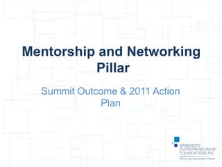 Mentorship and Networking
Pillar
Summit Outcome & 2011 Action
Plan
 