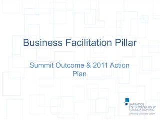Business Facilitation Pillar
Summit Outcome & 2011 Action
Plan
 