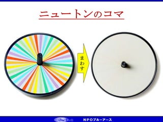ニュートンのコマ
ま
わ
す
 