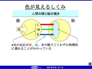 ●光の反応が赤、緑、青の順でごくわずか時間的
に遅れることがわかっている
色が見えるしくみ
 